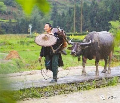 3、世外桃源景象.jpg